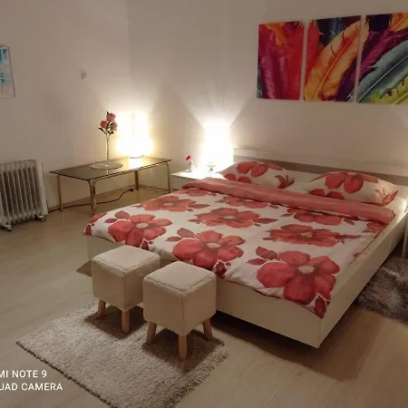 Apartment Zenta *